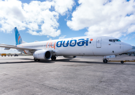 РФ прокомментировала слухи о российском гражданстве пилота Flydubai
