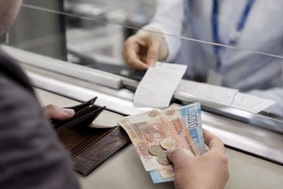 Какие виды взносов допускает закон и на что их можно тратить
