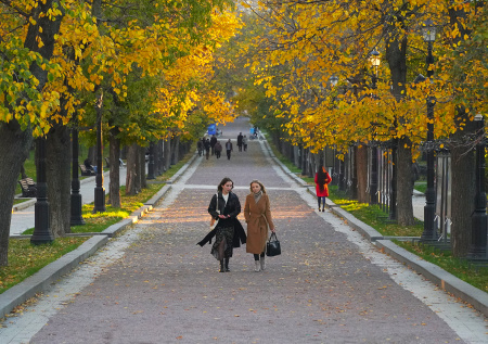 Погода в Москве в выходные: целый день дождей и падение температуры до +9