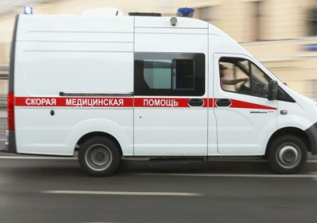 Пострадавшего от нападения медведя мальчика отправили в Барнаул