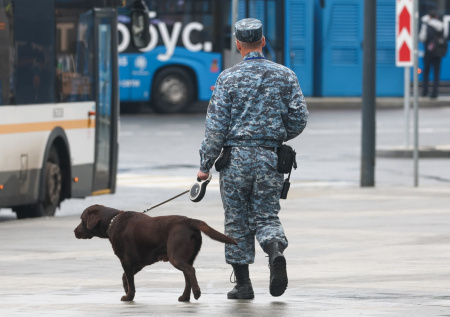 В Подмосковье пятые сутки ищут девочку, не вернувшуюся с велопрогулки