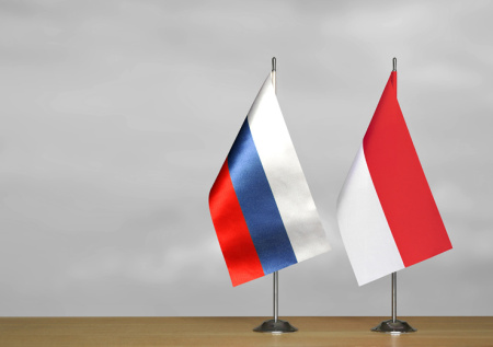 Россия и Индонезия обсудили новый этап военного партнерства