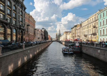 Прославившийся в игре Call Of Duty 100-летний тополь спилили в Петербурге