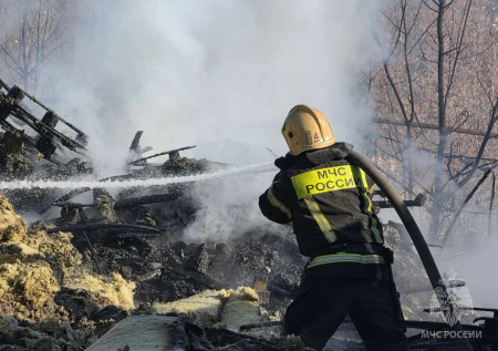В Нижнем Новгороде заметили гигантский столб дыма от пожара