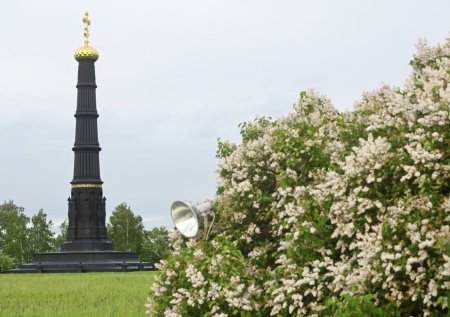 Камни в памятнике Дмитрию Донскому раскрыли неожиданную тайну Петра I