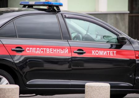 СК показал фото подозреваемого в убийстве девушки в Москве и его пособника