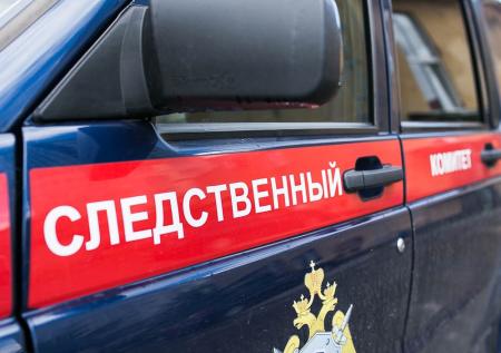 Мать убила несовершеннолетнего сына и покончила с собой в Подмосковье