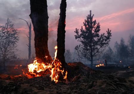 В третьем районе Рязанской области ввели режим ЧС из-за пожаров