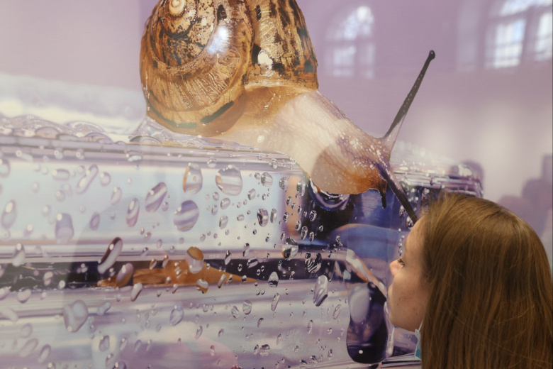 Ким Ёнг Сонг Ничто. Жизнь. Объект 4