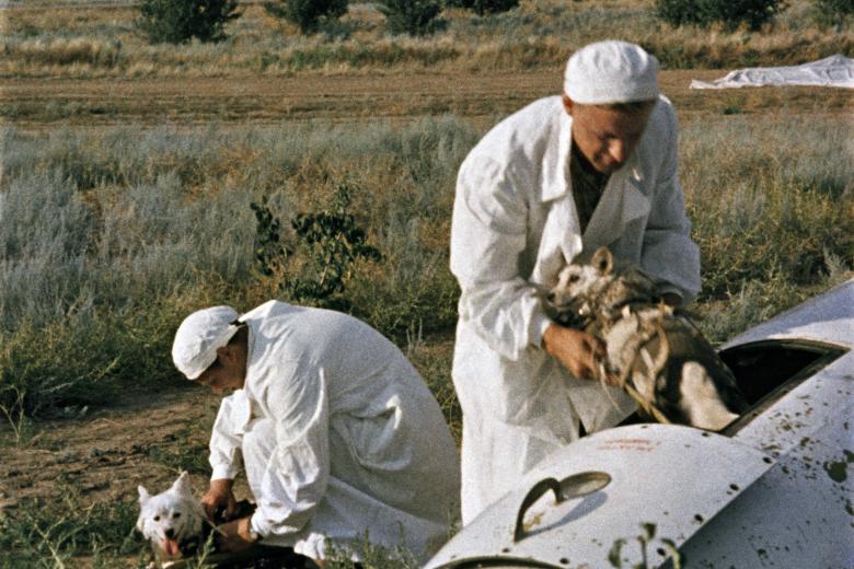 Врачи извлекают подопытных собак из кабины головной части геофизической ракеты на месте приземления