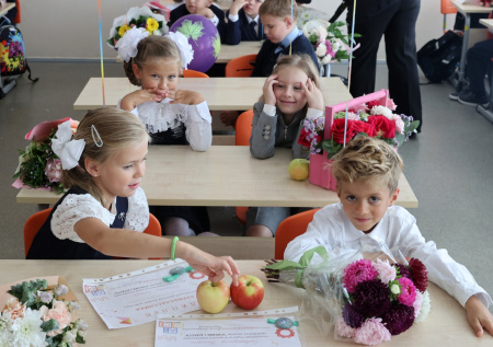 Названо число первоклассников в 2026 году