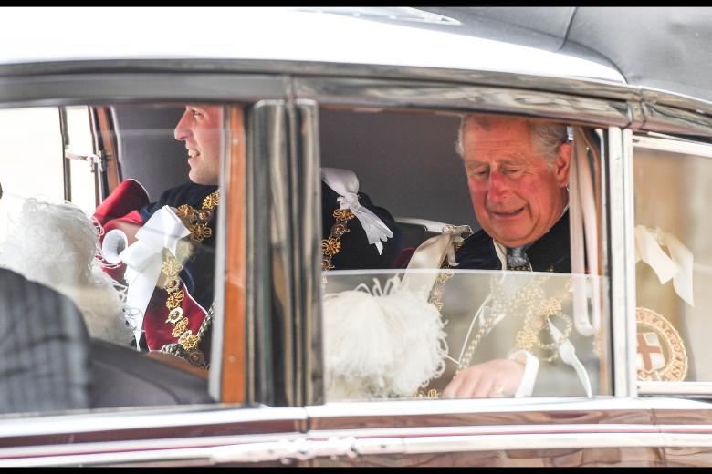 Prince Charles and William