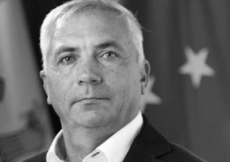 Молдавского депутата убили осы