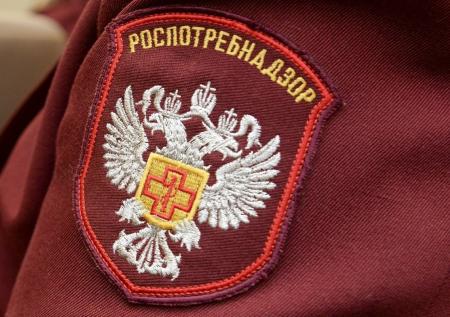 Роспотребнадзор закрыл «жестокий» патриотический лагерь в Ленобласти