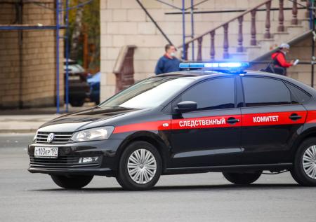 СКР начал проверку в отношении девушки с плакатом в эфире Первого канала
