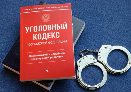 В Госдуме высказались об ужесточении наказания по «русской» статье УК РФ