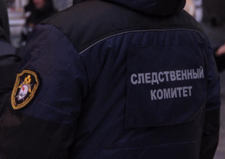 СК возбудил уголовное дело по факту убийства 4-летней девочки под Кировом