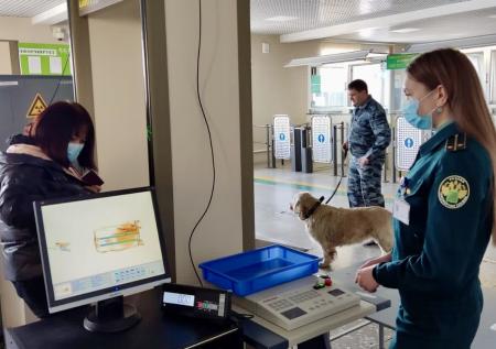 Дневники Геббельса изъяли у россиянки на границе с Китаем