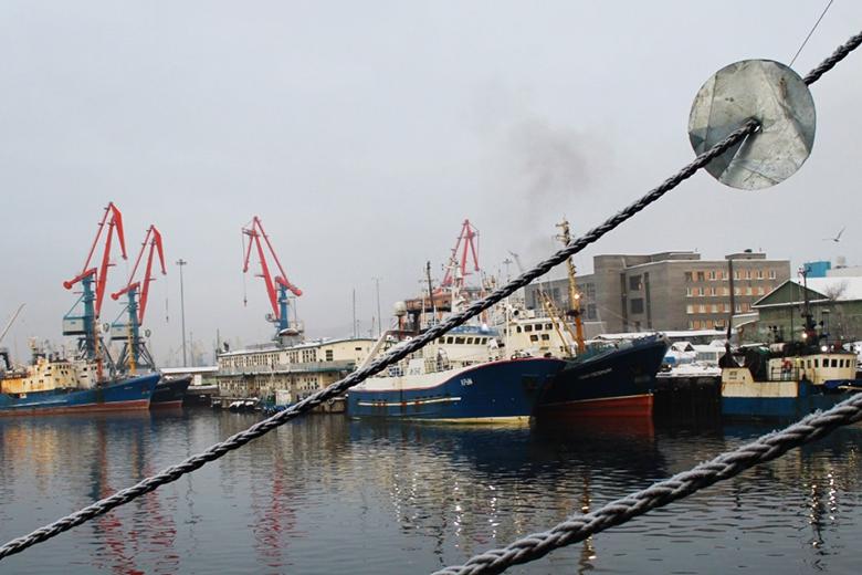 Мурманский морской рыбный порт