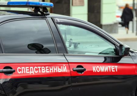 Задержан мужчина, расстрелявший двух людей в подмосковном лесу