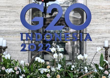 Путин допустил свой визит на саммит G20 в Индонезии
