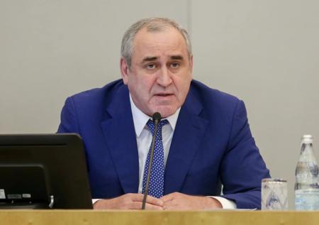 Неверов попросил «не придумывать темы» для обсуждения с Путиным