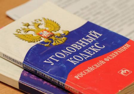 Пчёлы «за»: поправки в УК для борьбы с пытками поможет разработать ФСИН