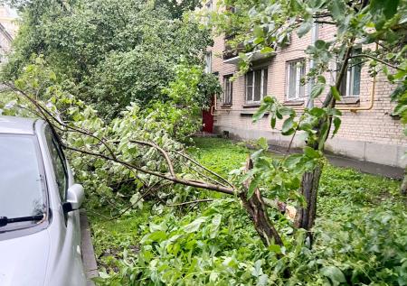 Число жертв шторма в Петербурге выросло до трех