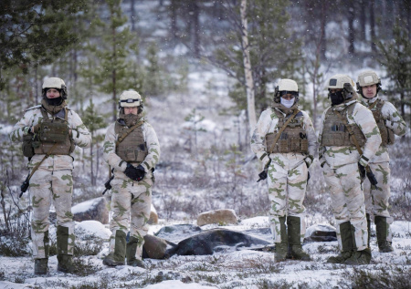 Французские военные встанут на защиту Гренландии