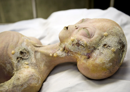 Помещение с «обломками НЛО» загорелось в США