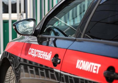 Пьяная кемеровчанка материлась и угрожала дочери на стримах