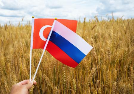 Вторая зерновая сделка: какие новые условия турки предлагают России