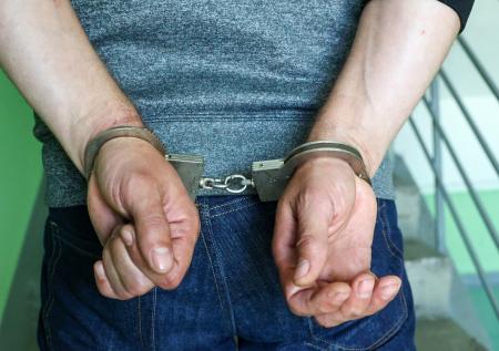 В Петербурге задержали градозащитника