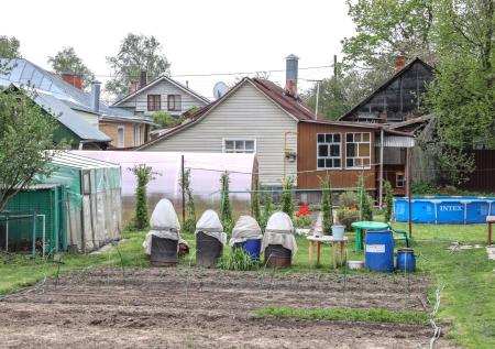 Садоводов обяжут использовать земельные участки под угрозой изъятия
