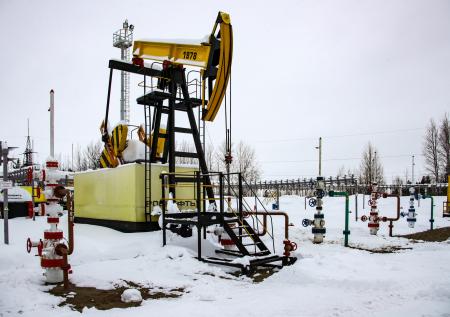 В РАН оценили перспективность месторождений нефти Чукотки на уровне Аляски