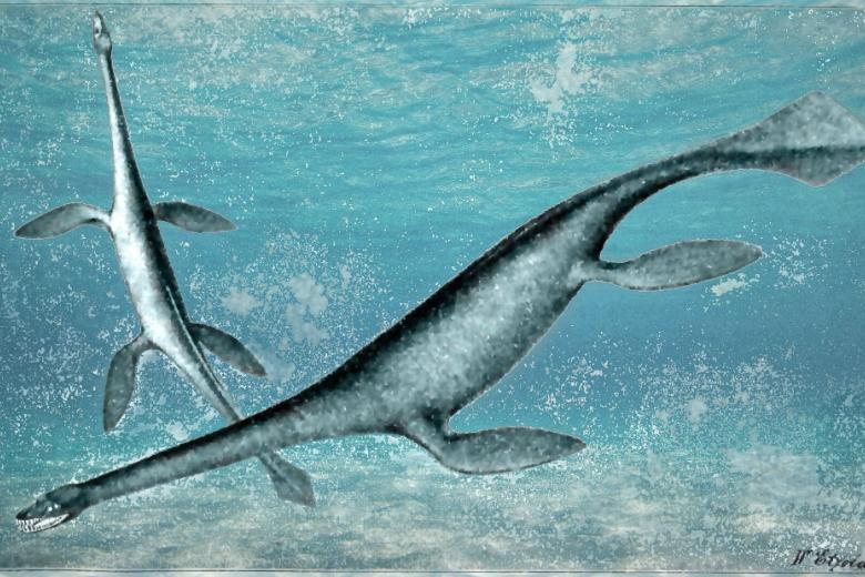 Плезиозавр Seeleyosaurus guilelmiimperatoris, реконструкция внешнего вида 