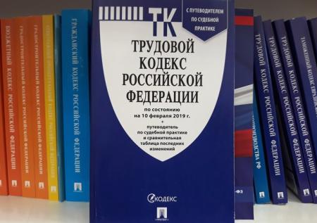Понятие «молодой специалист» может появиться в Трудовом кодексе РФ 