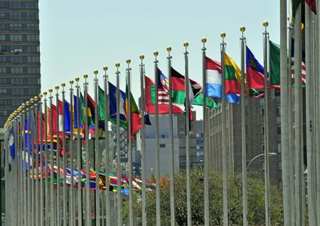 Совет ОАГ одобрил приостановку статуса России в качестве наблюдателя