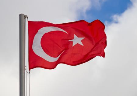 Турция заявила о непризнании итогов проводимых на Украине референдумов