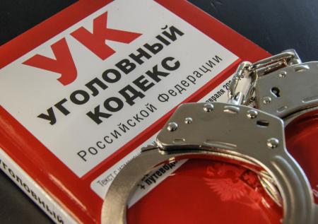 Известный российский историк стала фигурантом нового уголовного дела