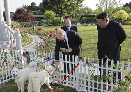 Стало известно, когда новым собакам Путина дадут клички