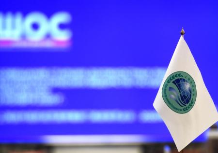 В ГД рассказали о перспективах развития ШОС