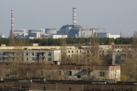 Ученые раскрыли, как мутируют радиоактивные птицы в Чернобыле