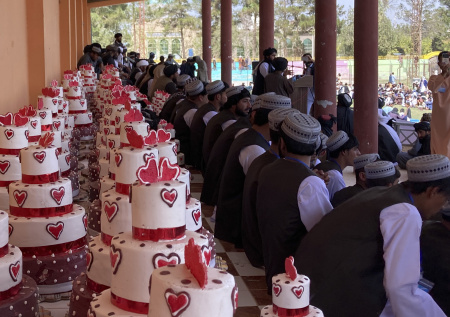 Афганистан заинтересовался привлечением мигрантов к сельхозработам в РФ