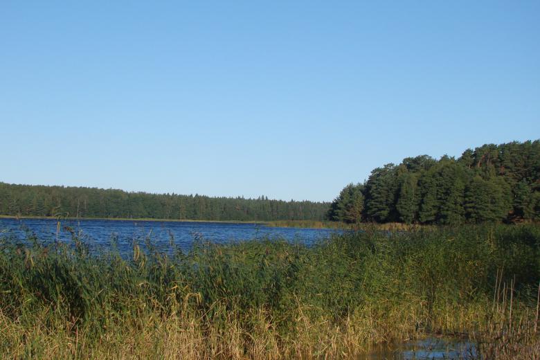 Кургальский заказник