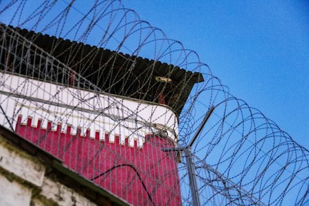 В петербургской колонии убили педофила