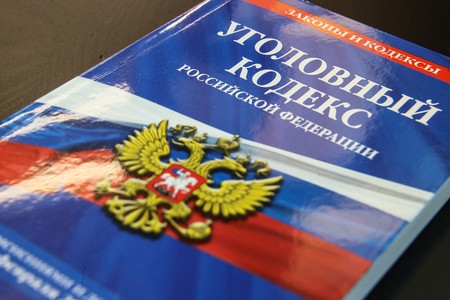 Правозащитник рассказал, кого коснутся новые поправки в статью о госизмене