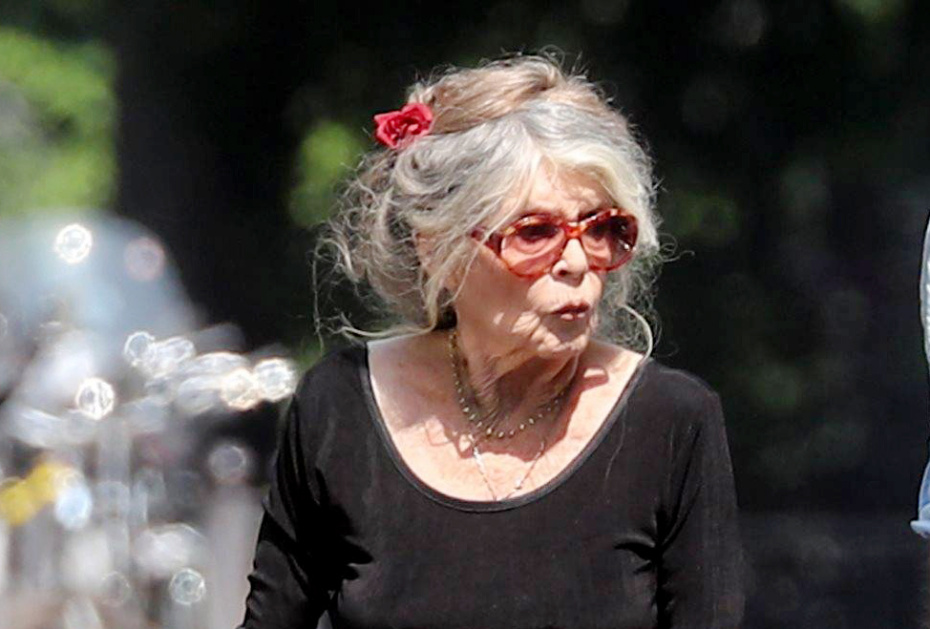 Брижит Бардо, 2018 год