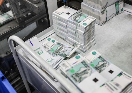 Деньги есть, держимся: государевы люди показали кошельки