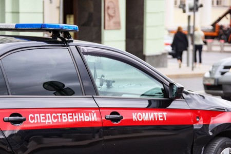 Жителя Подмосковья настигла карма после убийства сожительницы